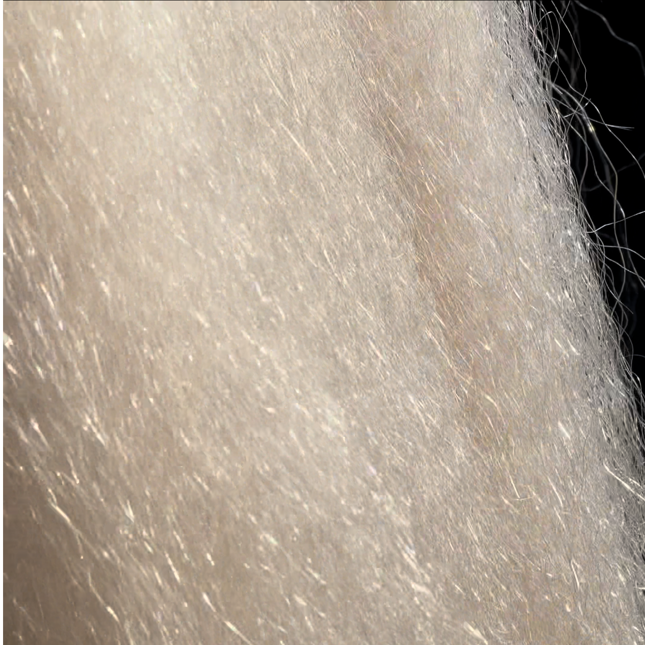 White Blonde Afro-Straight Lace Closure Wig